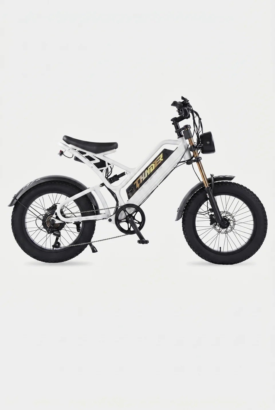 BICICLETA ELECTRICA THUNDER 750 - Imagen 5