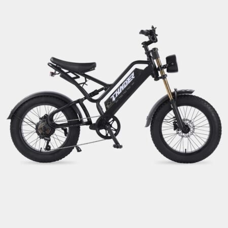 BICICLETA ASISTIDA