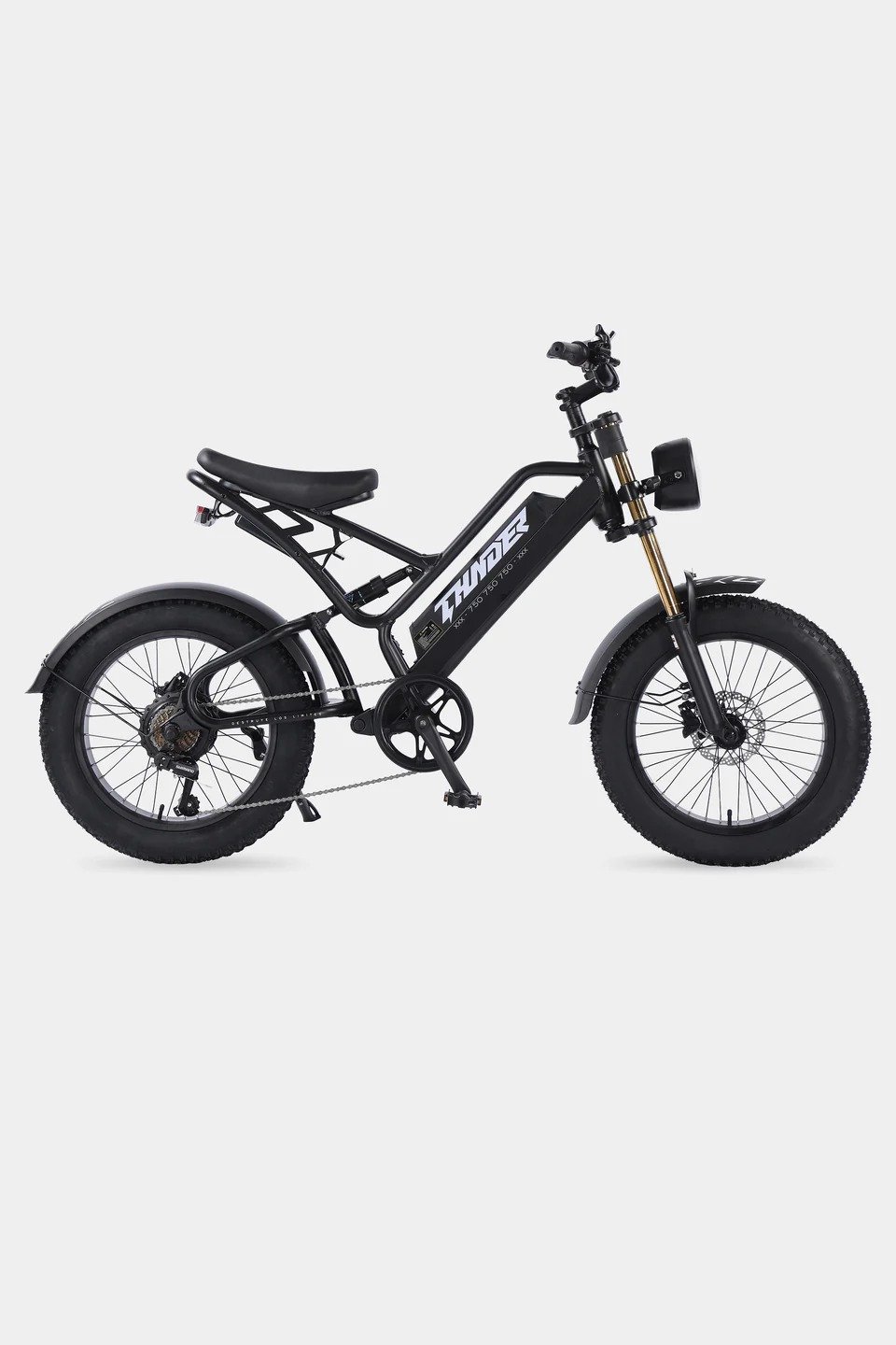 BICICLETA ASISTIDA