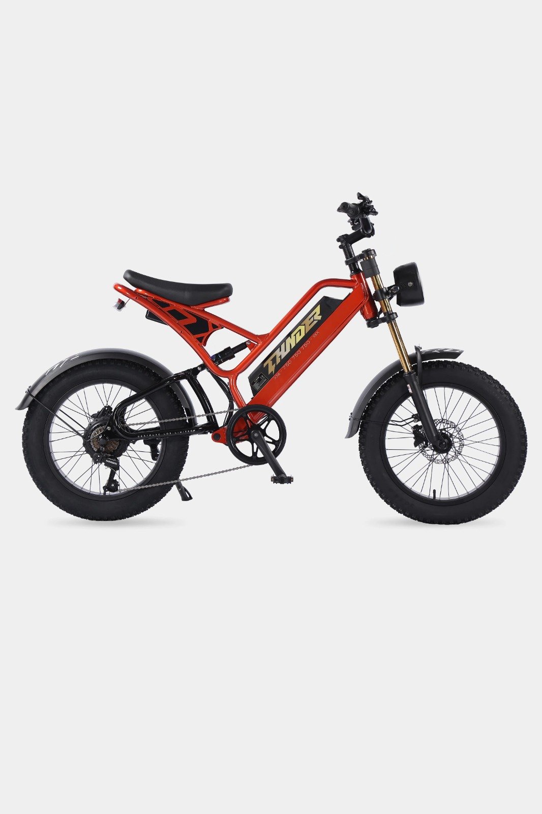 Bicicleta Eléctrica Thunder 750