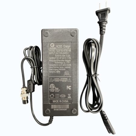 cargador 67.2V Vsett 10+