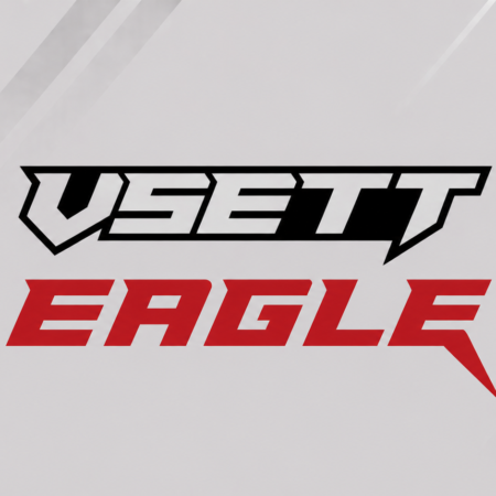 Vsett Eagle