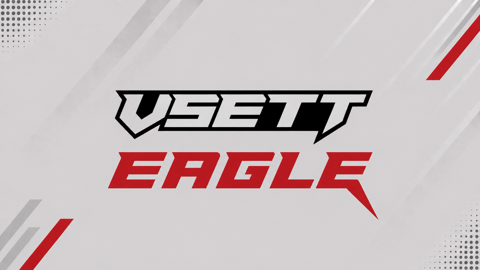 CARGADOR VST EAGLE (54,6V)