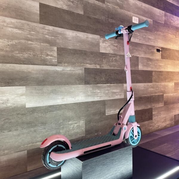 Seguridad primero con la Kingsong Kids: Esta imagen muestra los detalles de seguridad, como el manillar antideslizante y el freno de mano. Yeaah